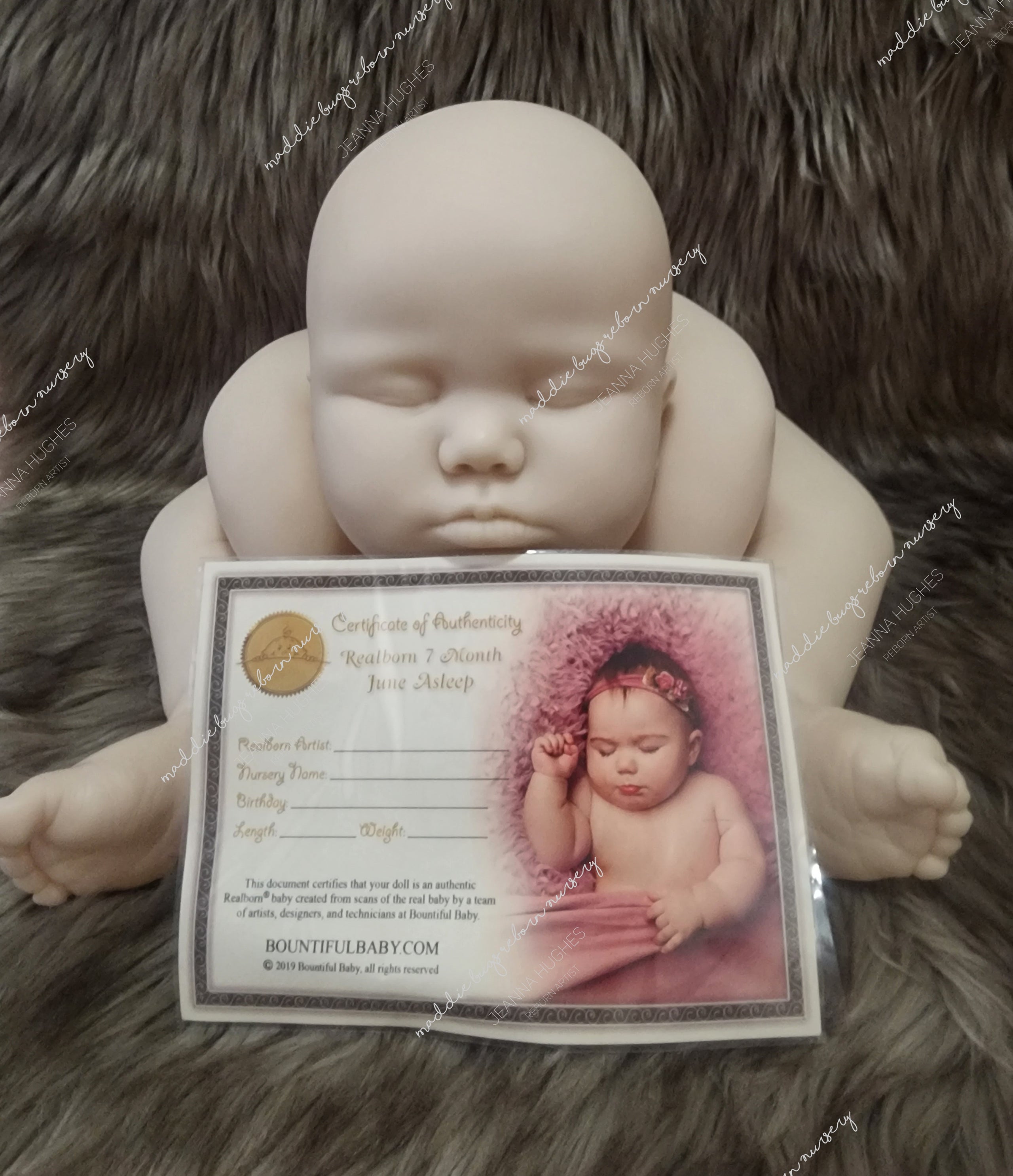 Realborn 7 Month June Blank Kit with COA